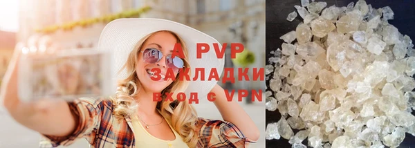 индика Слюдянка