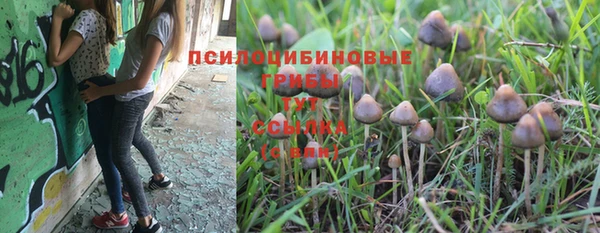 прущие крисы Балабаново