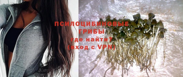 прущие крисы Балабаново