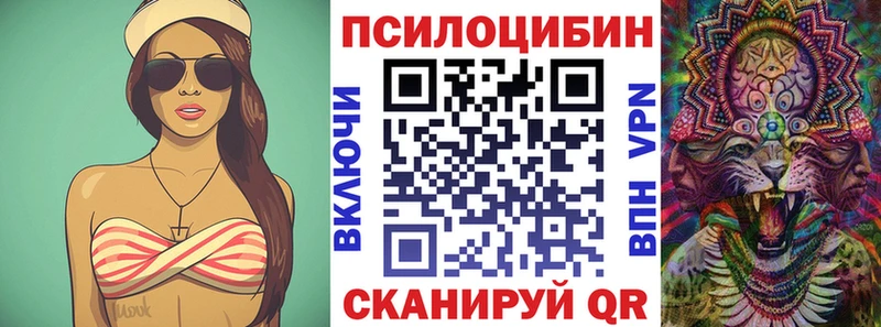 ОМГ ОМГ зеркало  Костерёво  Псилоцибиновые грибы Magic Shrooms 