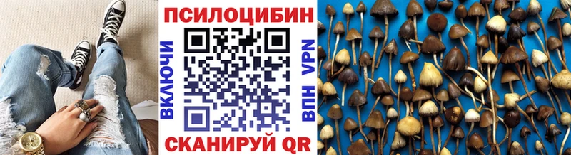 Псилоцибиновые грибы MAGIC MUSHROOMS Костерёво